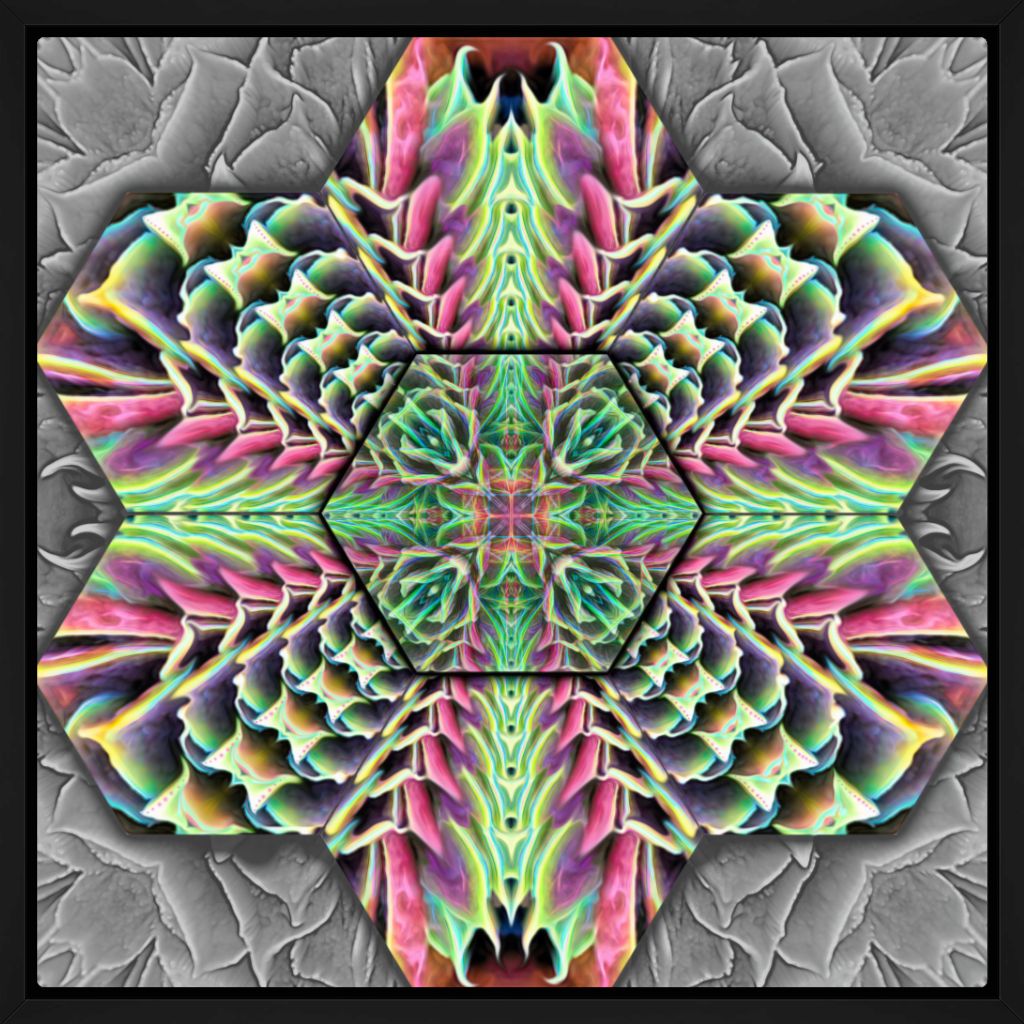 "Hexpressive" Fine Art Print