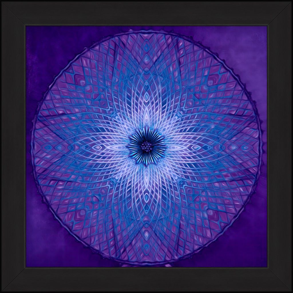 "Indigo Renewal" Fine Art Print