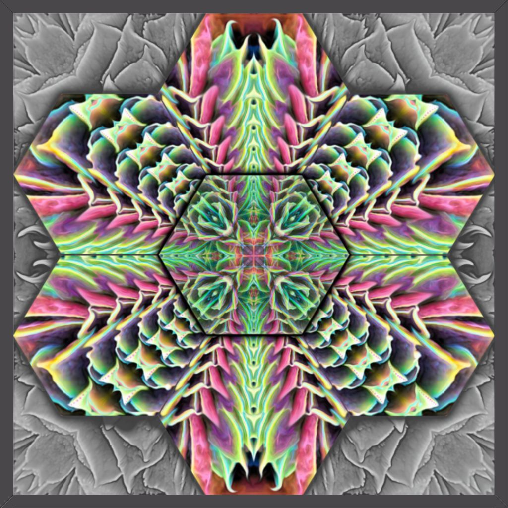 "Hexpressive" Fine Art Print