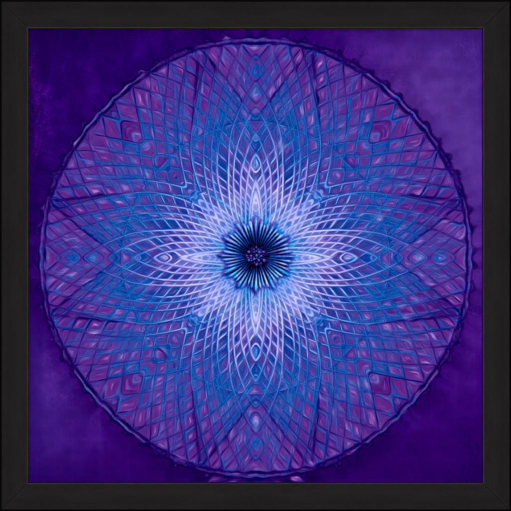 "Indigo Renewal" Fine Art Print