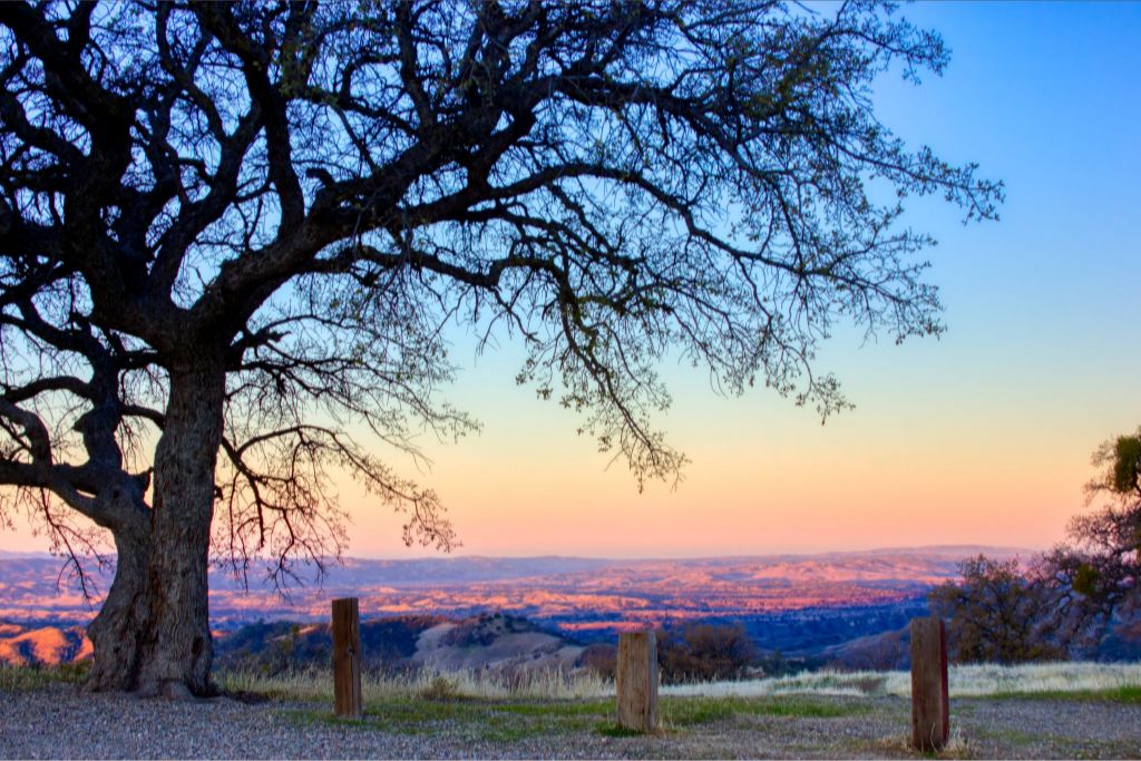 "Dawn on Figueroa Mountain" Fine Art Print