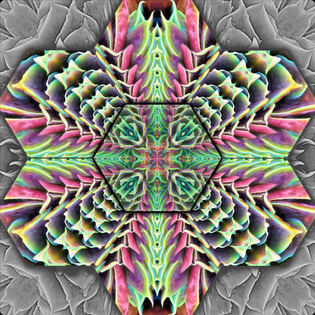 "Hexpressive" Fine Art Print