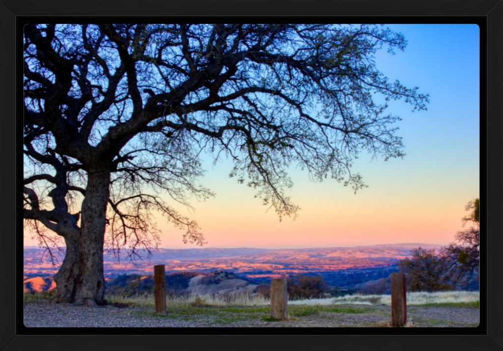 "Dawn on Figueroa Mountain" Fine Art Print